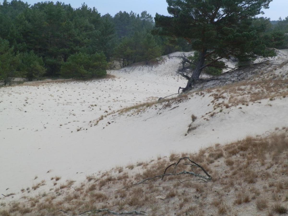 Sloneczna Przystan Villa Sasino Exteriör bild